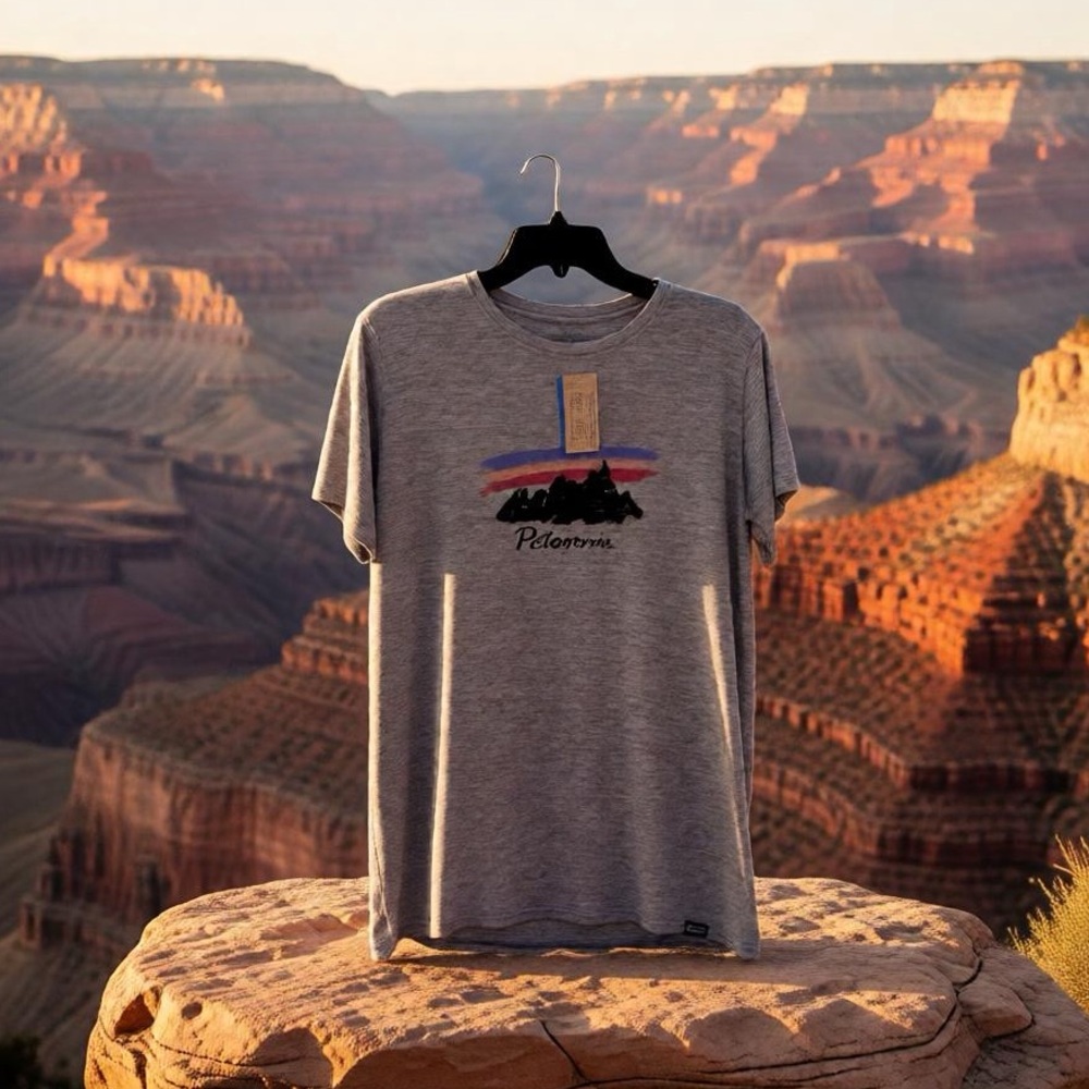 Women’s Patagonia Capilene Cool Daily Gray Graphic Tee